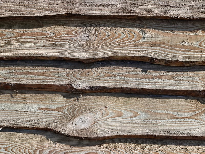 Timber, Plywood & Shuttering — bulk / wholesale